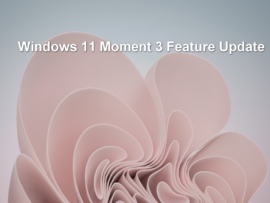 pink paper curled up like flower petals with the text Windows 11 Moment 3 Feature Update hovering above it